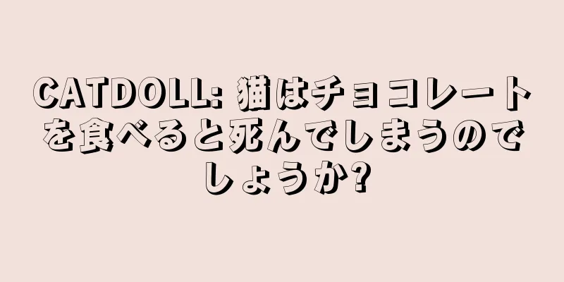 CATDOLL: 猫はチョコレートを食べると死んでしまうのでしょうか?