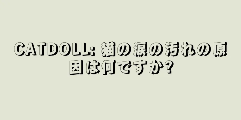 CATDOLL: 猫の涙の汚れの原因は何ですか?