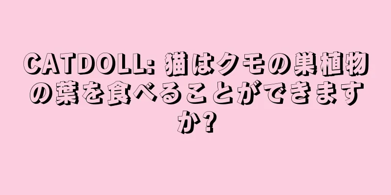CATDOLL: 猫はクモの巣植物の葉を食べることができますか?