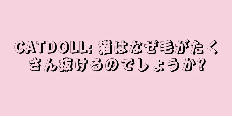 CATDOLL: 猫はなぜ毛がたくさん抜けるのでしょうか?