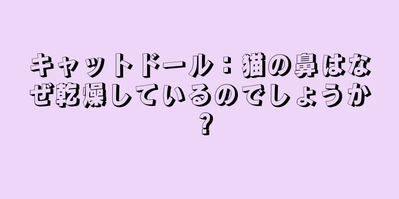 キャットドール：猫の鼻はなぜ乾燥しているのでしょうか？