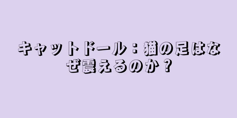 キャットドール：猫の足はなぜ震えるのか？