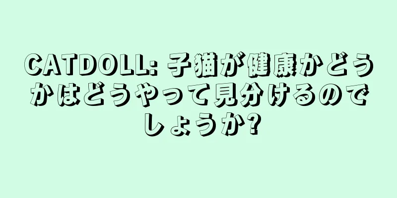 CATDOLL: 子猫が健康かどうかはどうやって見分けるのでしょうか?