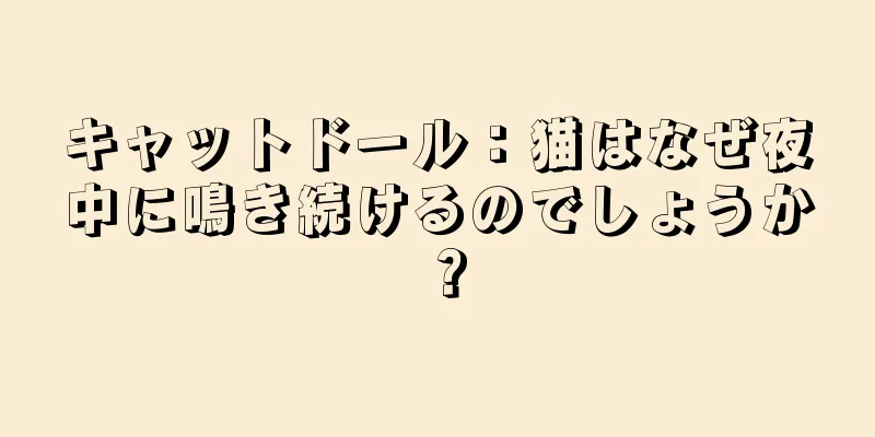 キャットドール：猫はなぜ夜中に鳴き続けるのでしょうか？