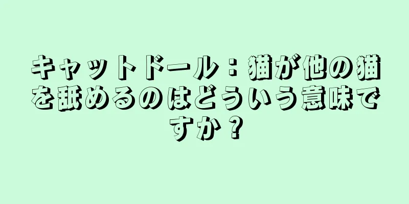 キャットドール：猫が他の猫を舐めるのはどういう意味ですか？