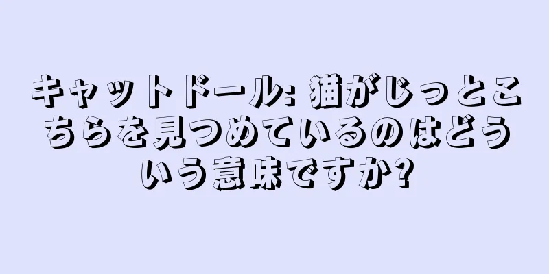 キャットドール: 猫がじっとこちらを見つめているのはどういう意味ですか?