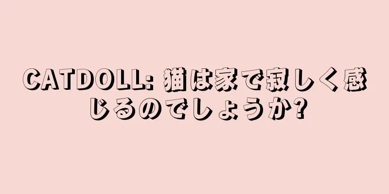 CATDOLL: 猫は家で寂しく感じるのでしょうか?