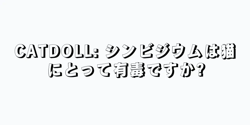 CATDOLL: シンビジウムは猫にとって有毒ですか?