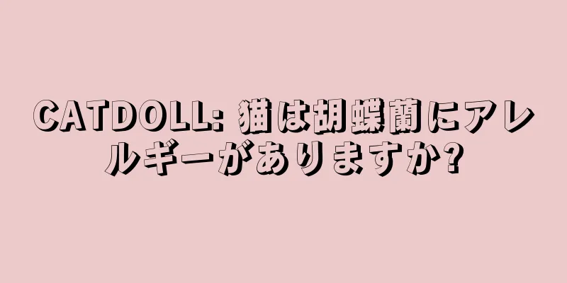 CATDOLL: 猫は胡蝶蘭にアレルギーがありますか?