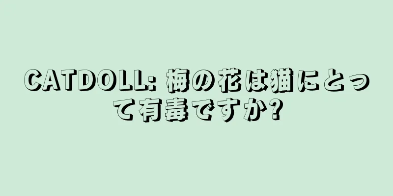 CATDOLL: 梅の花は猫にとって有毒ですか?
