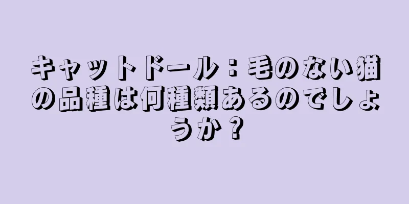 キャットドール：毛のない猫の品種は何種類あるのでしょうか？