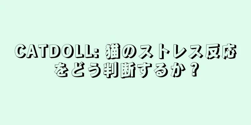 CATDOLL: 猫のストレス反応をどう判断するか？