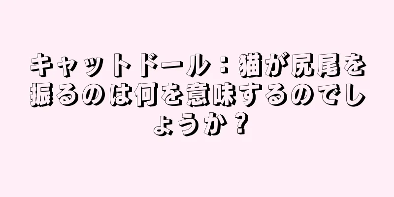 キャットドール：猫が尻尾を振るのは何を意味するのでしょうか？
