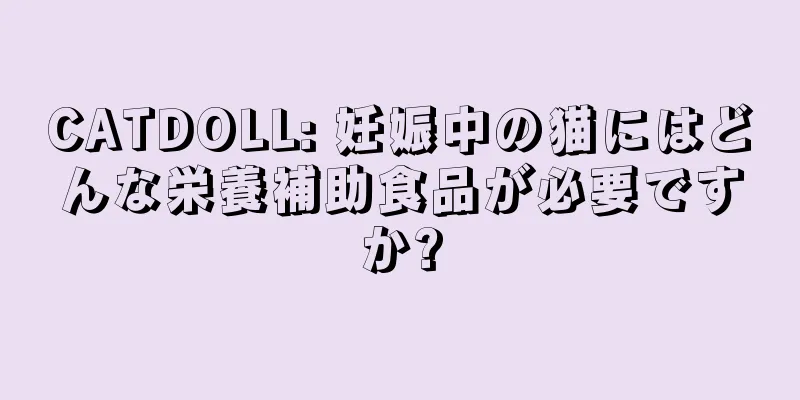 CATDOLL: 妊娠中の猫にはどんな栄養補助食品が必要ですか?