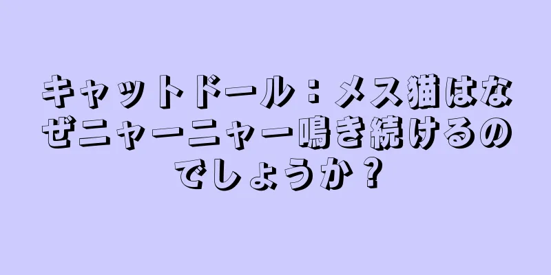 キャットドール：メス猫はなぜニャーニャー鳴き続けるのでしょうか？