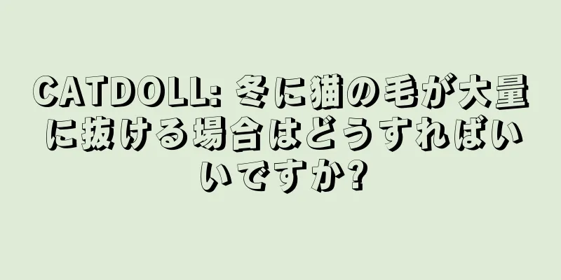 CATDOLL: 冬に猫の毛が大量に抜ける場合はどうすればいいですか?