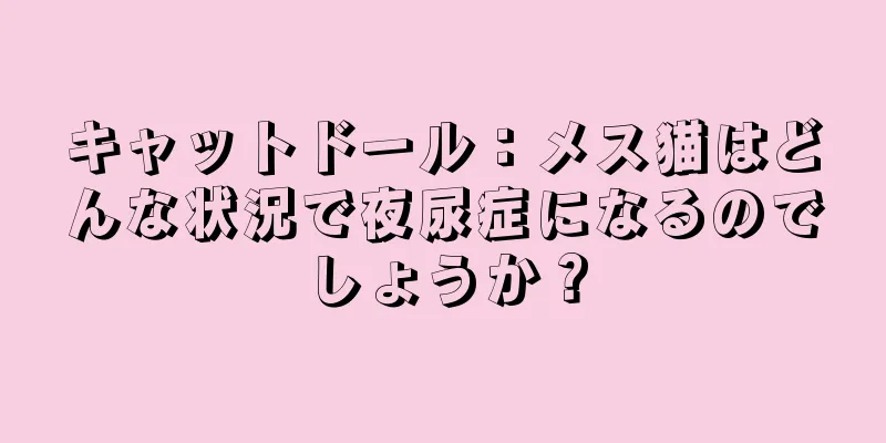 キャットドール：メス猫はどんな状況で夜尿症になるのでしょうか？