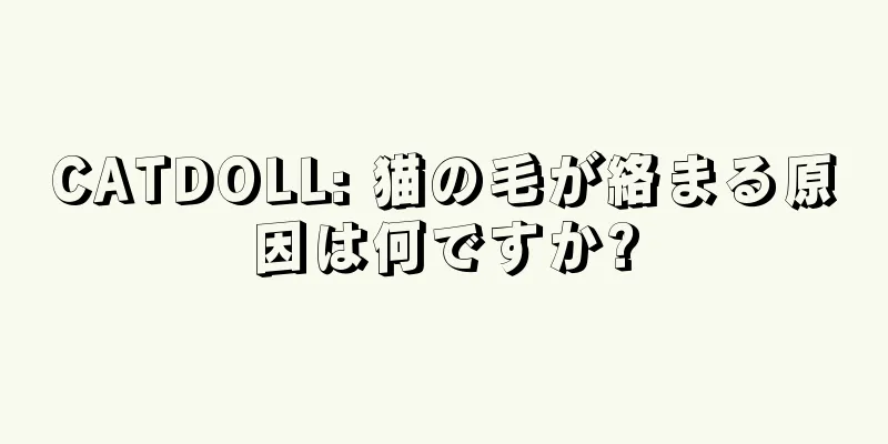 CATDOLL: 猫の毛が絡まる原因は何ですか?
