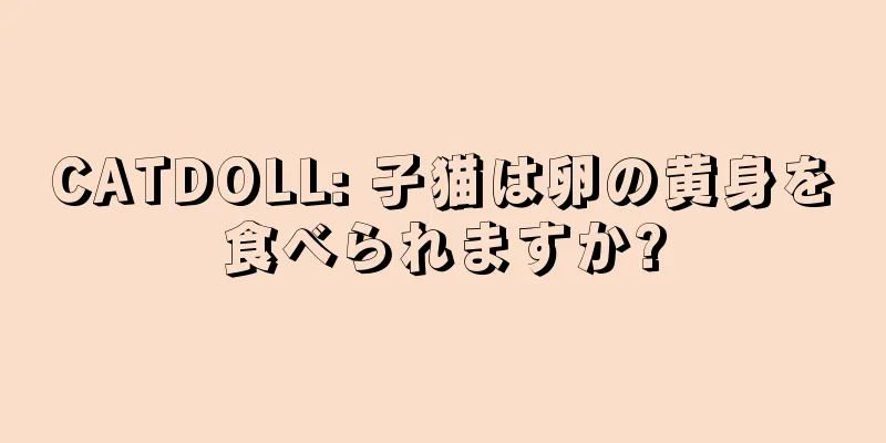 CATDOLL: 子猫は卵の黄身を食べられますか?