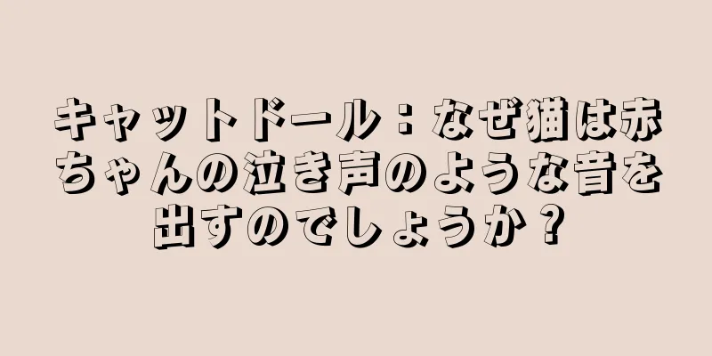 キャットドール：なぜ猫は赤ちゃんの泣き声のような音を出すのでしょうか？