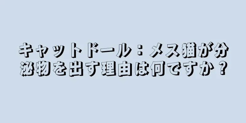 キャットドール：メス猫が分泌物を出す理由は何ですか？