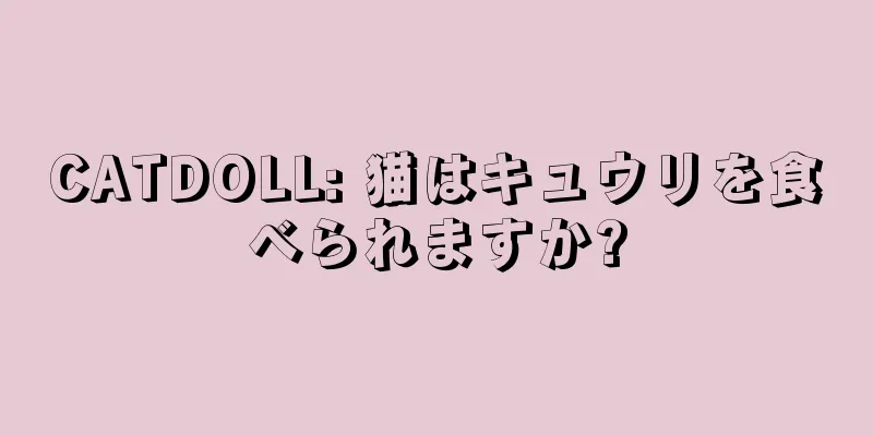 CATDOLL: 猫はキュウリを食べられますか?