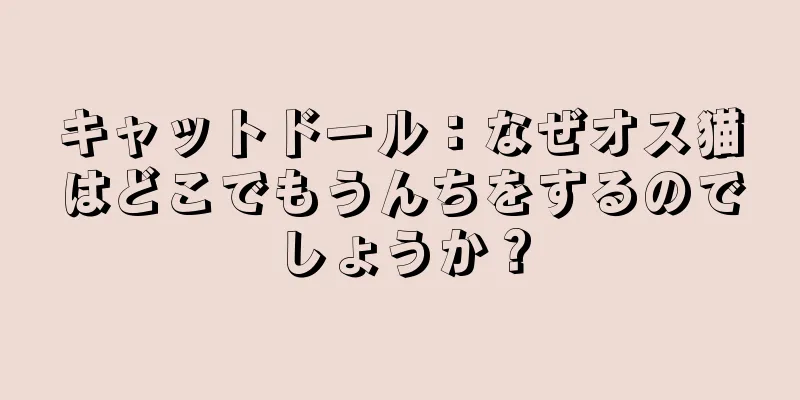 キャットドール：なぜオス猫はどこでもうんちをするのでしょうか？