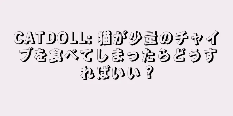 CATDOLL: 猫が少量のチャイブを食べてしまったらどうすればいい？
