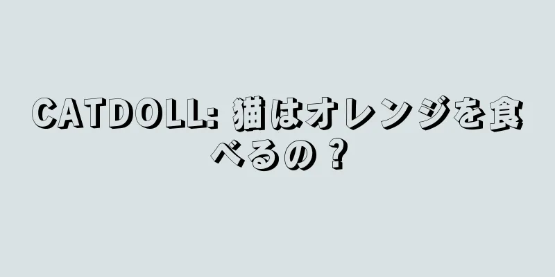 CATDOLL: 猫はオレンジを食べるの？