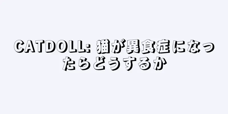 CATDOLL: 猫が異食症になったらどうするか