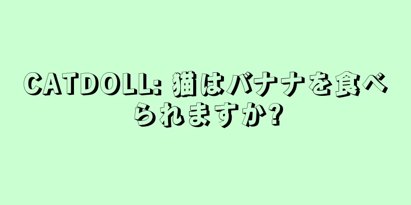 CATDOLL: 猫はバナナを食べられますか?