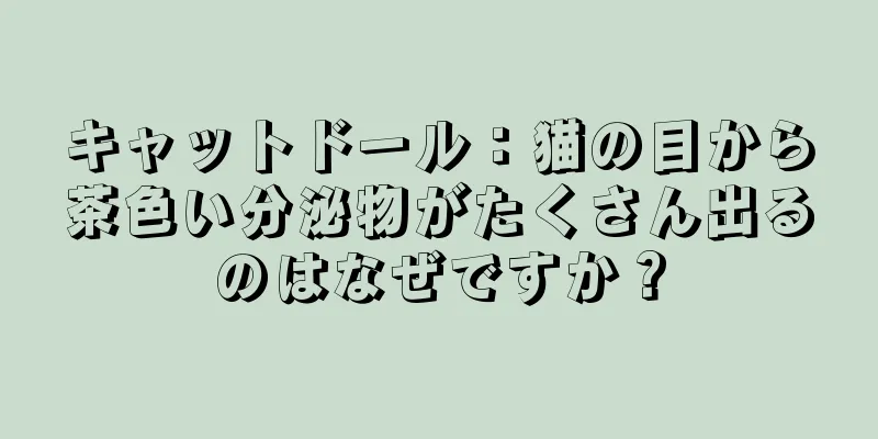 キャットドール：猫の目から茶色い分泌物がたくさん出るのはなぜですか？