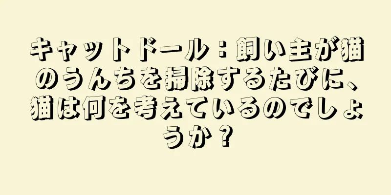 キャットドール：飼い主が猫のうんちを掃除するたびに、猫は何を考えているのでしょうか？