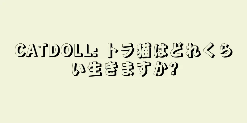 CATDOLL: トラ猫はどれくらい生きますか?