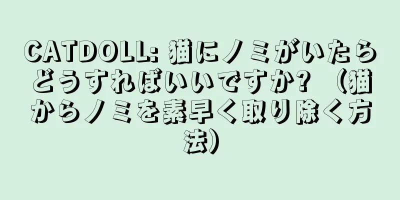 CATDOLL: 猫にノミがいたらどうすればいいですか? （猫からノミを素早く取り除く方法）