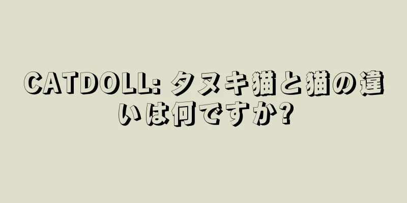 CATDOLL: タヌキ猫と猫の違いは何ですか?