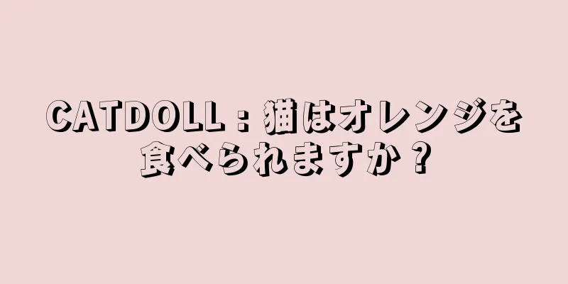 CATDOLL : 猫はオレンジを食べられますか？