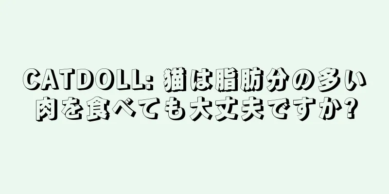 CATDOLL: 猫は脂肪分の多い肉を食べても大丈夫ですか?