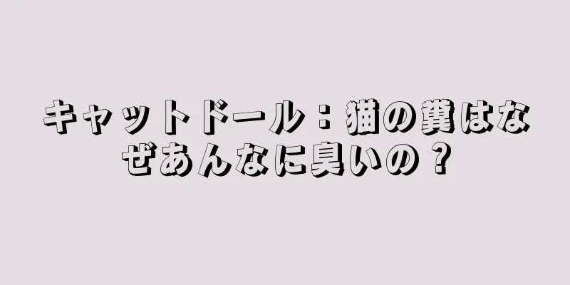 キャットドール：猫の糞はなぜあんなに臭いの？
