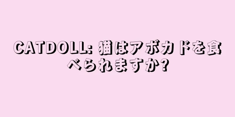 CATDOLL: 猫はアボカドを食べられますか?