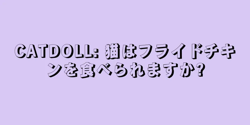 CATDOLL: 猫はフライドチキンを食べられますか?