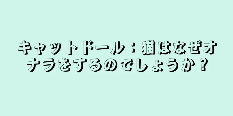 キャットドール：猫はなぜオナラをするのでしょうか？