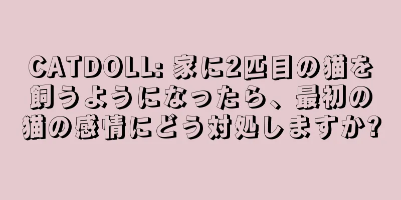 CATDOLL: 家に2匹目の猫を飼うようになったら、最初の猫の感情にどう対処しますか?