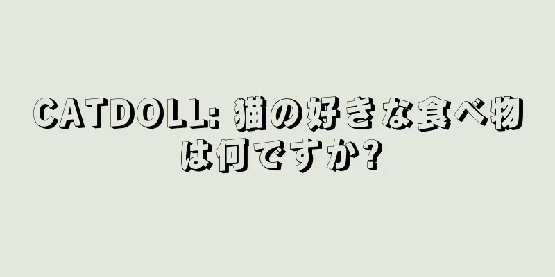 CATDOLL: 猫の好きな食べ物は何ですか?