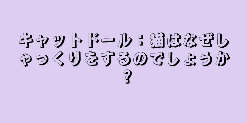キャットドール：猫はなぜしゃっくりをするのでしょうか？