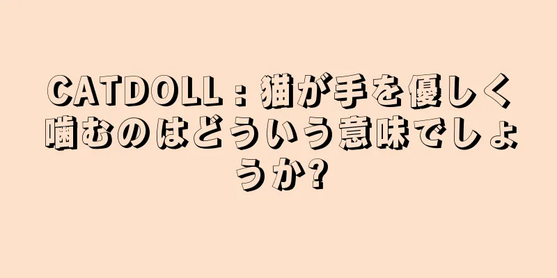 CATDOLL : 猫が手を優しく噛むのはどういう意味でしょうか?