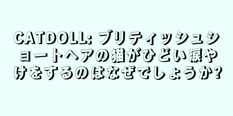 CATDOLL: ブリティッシュショートヘアの猫がひどい涙やけをするのはなぜでしょうか?