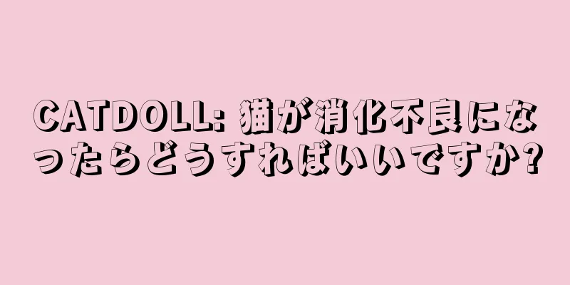 CATDOLL: 猫が消化不良になったらどうすればいいですか?