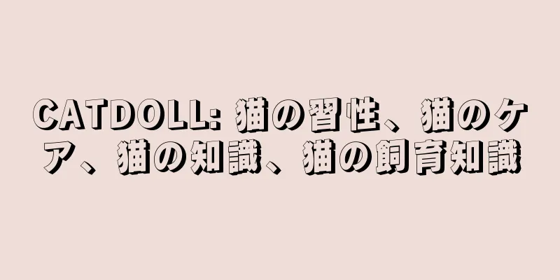 CATDOLL: 猫の習性、猫のケア、猫の知識、猫の飼育知識