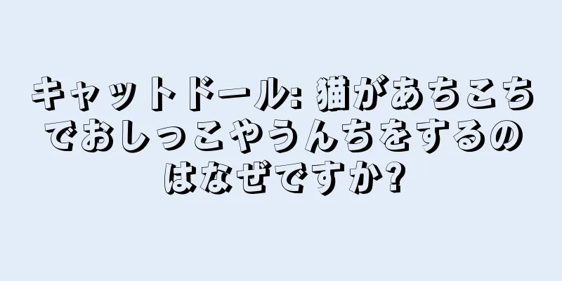 キャットドール: 猫があちこちでおしっこやうんちをするのはなぜですか?
